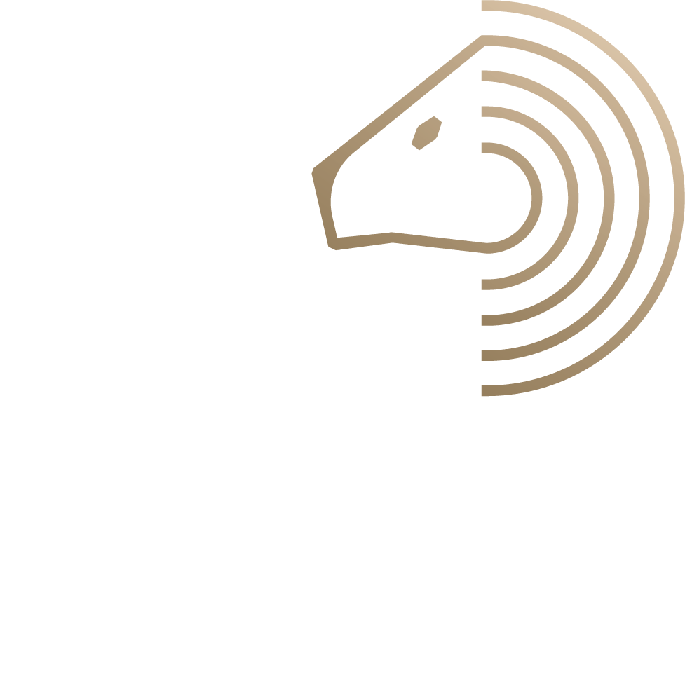 יומן מלא · פסח פרקוף